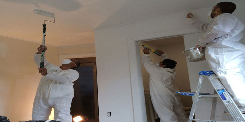 Professional House Painter