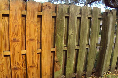 Wood Fence Cleaning